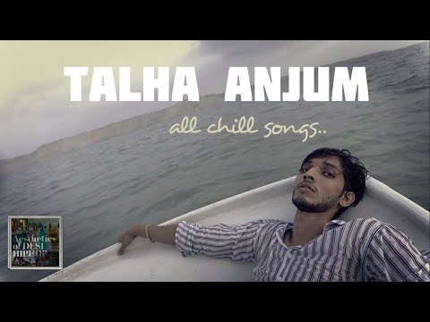 Talha Anjum - 1 hour 38 minutes of chill songs