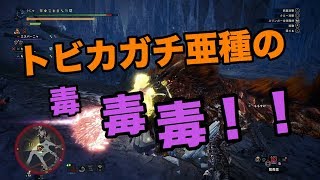 トビカガチ亜種の毒ヤバすぎる！〔初見狩り〕【withちょらさん】
