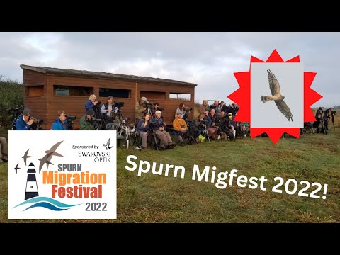 Spurn Migration Festival  2022