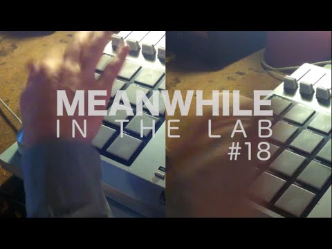 WERMONSTER - Meanwhile in the lab #18 Buddhas in Paris