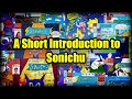 Sonichu The Electric Hedgehog Pokemon Issues 0 16