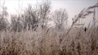 Rhian Sheehan - Borrowing The Past (Hammock Remix)