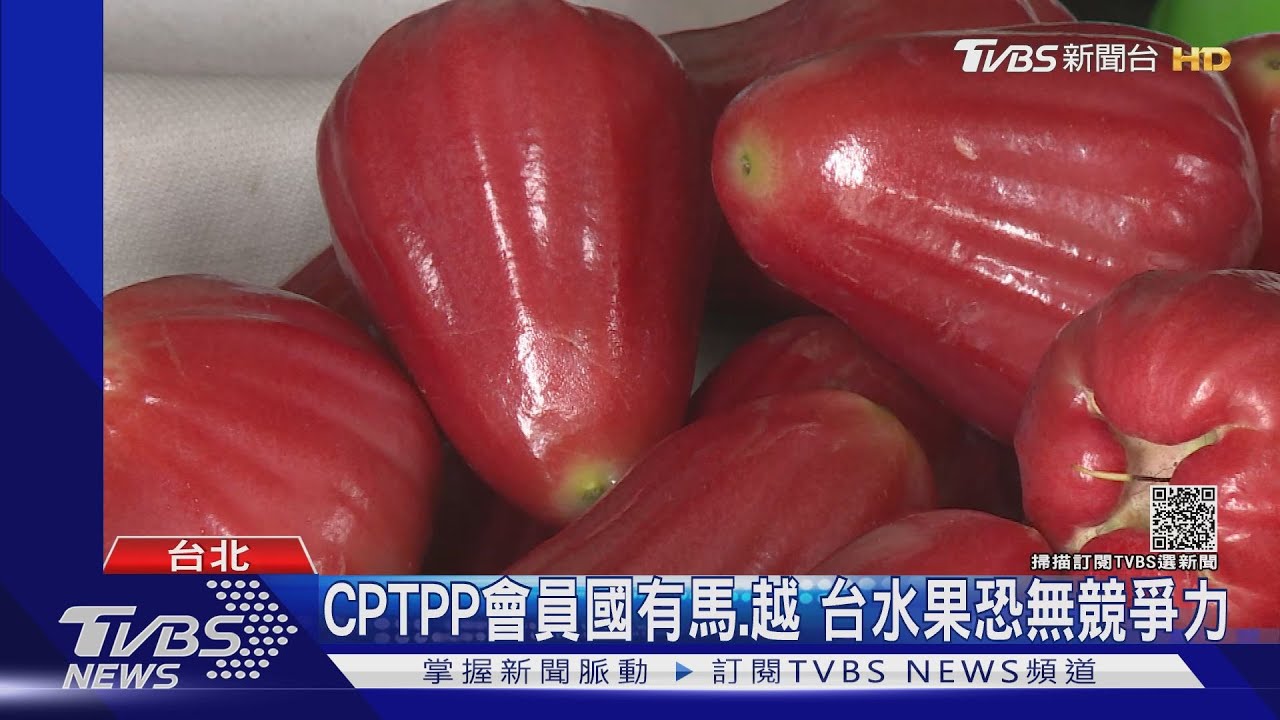 CPTPP挑戰!藍委質疑無助蓮霧、釋迦外銷