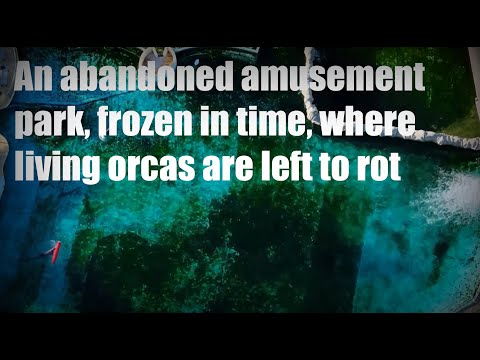 Freizeitpark verlassen und „eingefroren in der Zeit“, wo noch lebende Orcas verrotten
