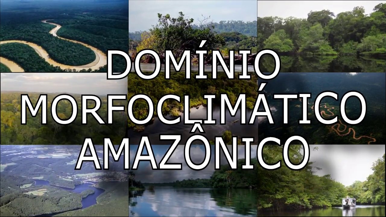 Domínio Morfoclimático Amazônico