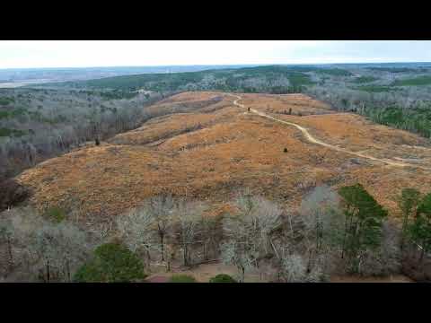 84 Acres in Hamilton Alabama