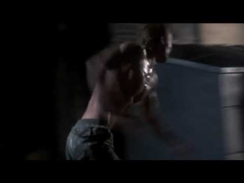 MI HOMENAJE FINAL, es para: (The Terminator 1984)