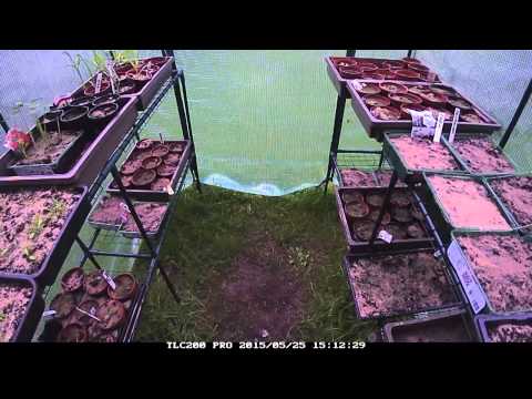 Copleston Timelapse First Recording