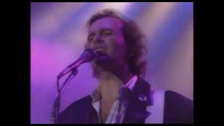 Pooh - Che Vuoi Che Sia - Live 1988