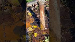 ASMR flowing well