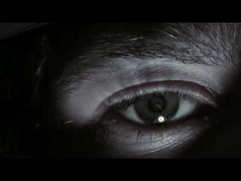 Out of the Pond Trailer