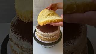 Tiramisu Cake #recipe #tiramisu