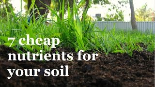 7 Super Cheap ways to add Nutrients to your Soil