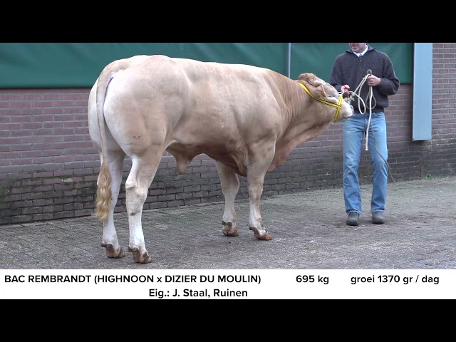 BAC Rembrandt NL662471642