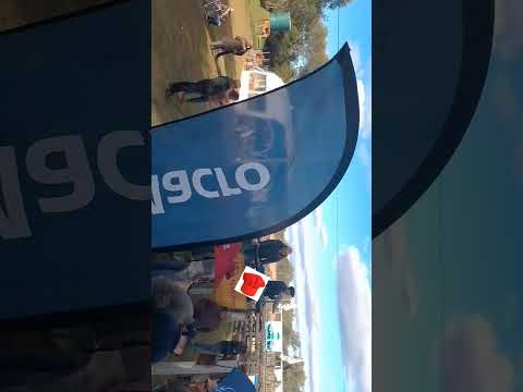 Expo Feria Forestal Fachinal Misiones Argentina 🇦🇷🇦🇷🇦🇷