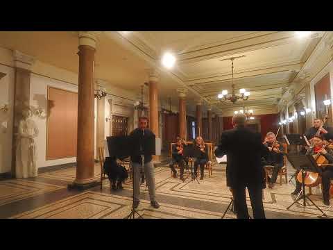 Georgi Andreev - "ViolAni" - Version for English Horn and Chamber Orchestra