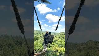Download lagu cute swing in bali #love #romance #bali #honeymoon mp3
