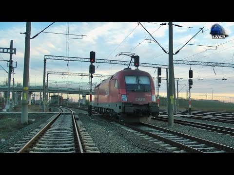 Taurus 1116 024 E-Lok la Manevra/Shunting in Gara Curtici Station pe Seara/on Evening