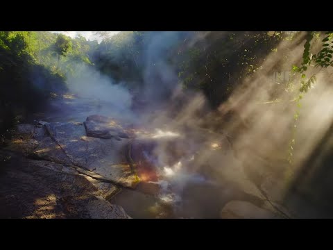 Canta Selva Canta (Unofficial Music Video)