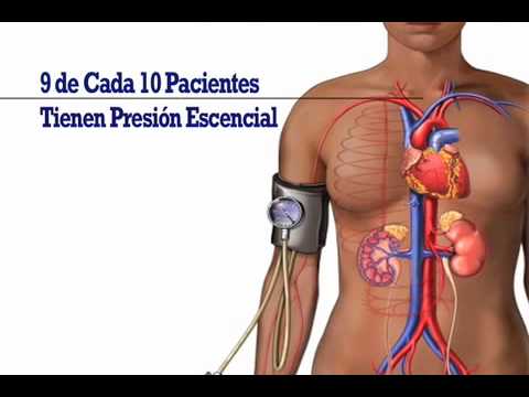 Medicamento reduce la presión arterial Prescripción en la hipertensión