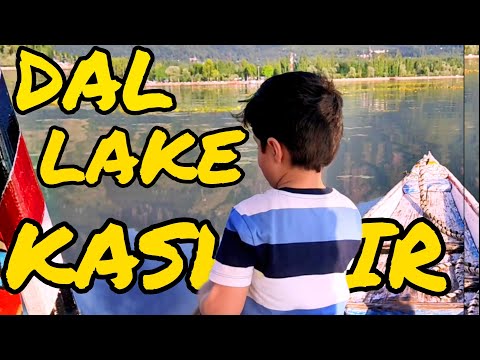 Habeeb YT | Dal Lake - Srinagar