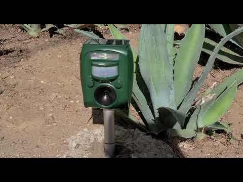 Broox Solar Animal Repeller