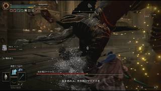 PS5　エルデンリング㉘　マリケスと竜王　2026/6/25