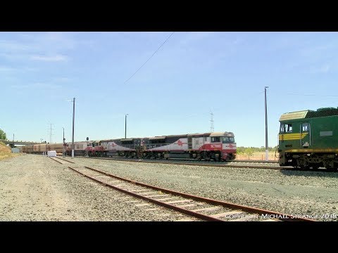 SCT PM9 Freight Train With SCT005, SCT001 & CSR008 (3/12/2016) - PoathTV Australian Railways