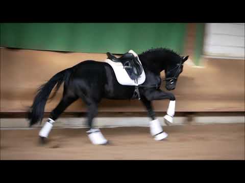 3j Wallach v. Floriscount