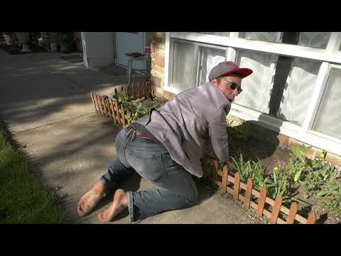 Just Jacob - "Shake" (Official Music Video) (Prod. By Kwelar)