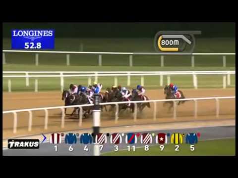 06.11.2014 Meydan (Dubai-UAE) 3.Race Arabian Adventures - Handicap  1.600 m