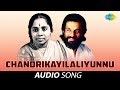 Chandrikayilaliyunnu Audio Song Bharyamar Sookshikkuka K J Yesudas P Leela Hits