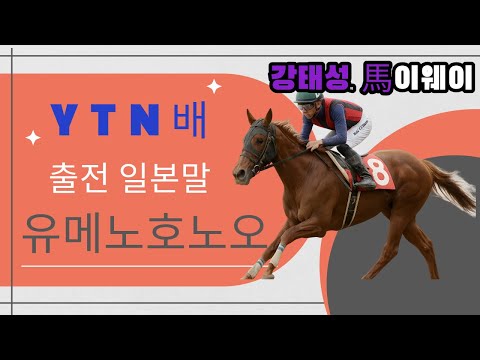 4/20-일요-강태성-YTN배 출전 일본말 유메노호노오