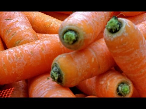 Raynbow optical sorter for carrots | RAYTEC VISION SpA