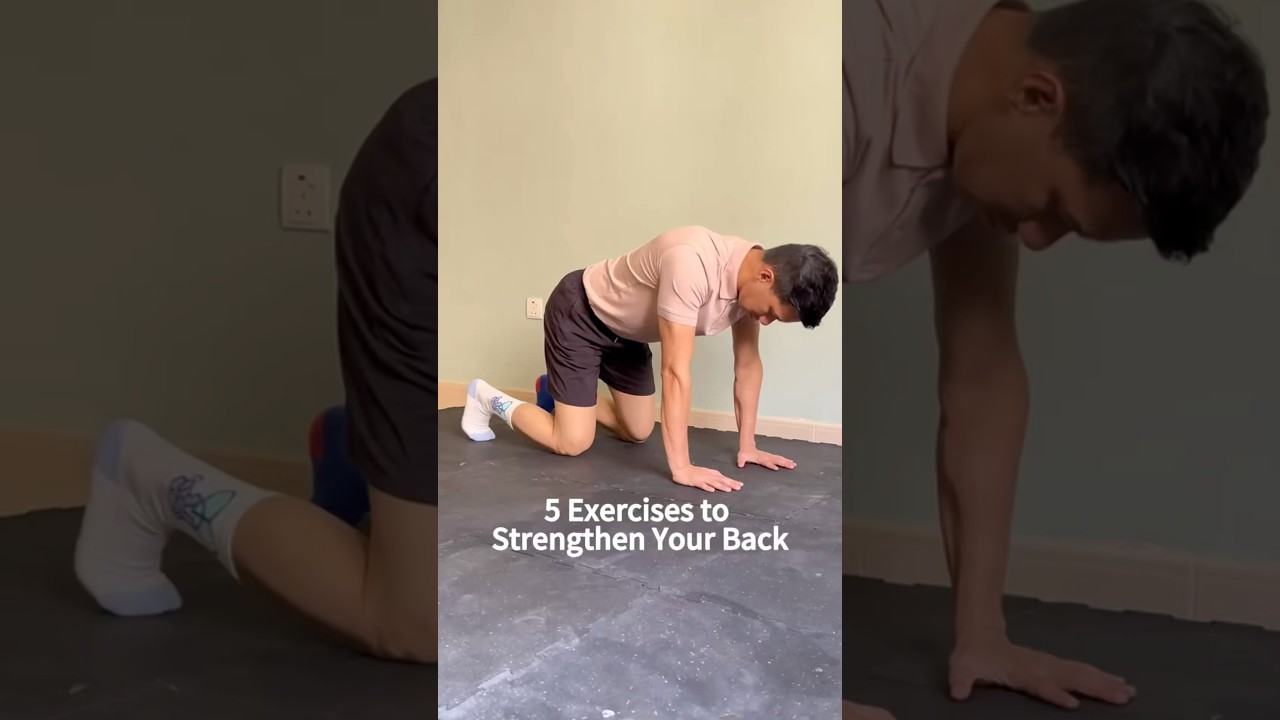 5 Exercises to Strengthen Your BACK!! 🔥🔥🔥 #backpain #backpainexercises #physicaltherapy