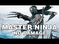 Ninja Gaiden 2 Master Ninja No Damage (WORLD FIRST)