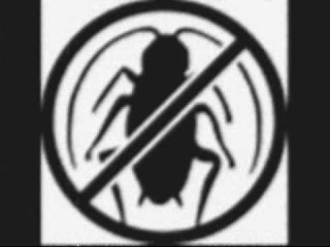 Gnosis's Introduction