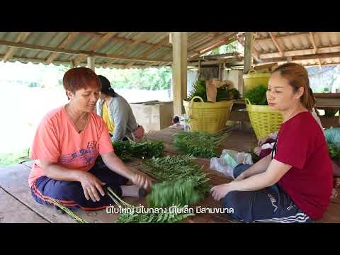 ศูนย์พัฒนาโครงการหลวงห้วยน้ำริน