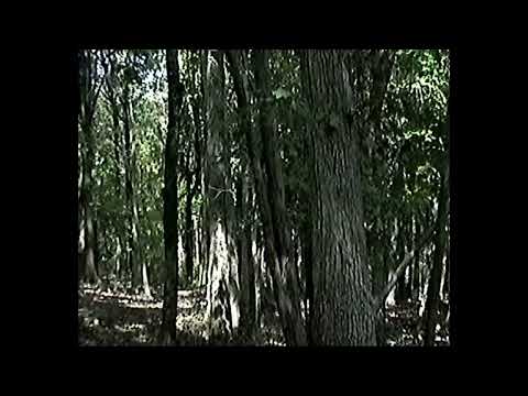 Video thumbnail for Year After Year