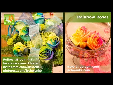 download lagu mp3 mp4 Rainbow Roses In Houston, download lagu Rainbow Roses In Houston gratis, unduh video klip Rainbow Roses In Houston