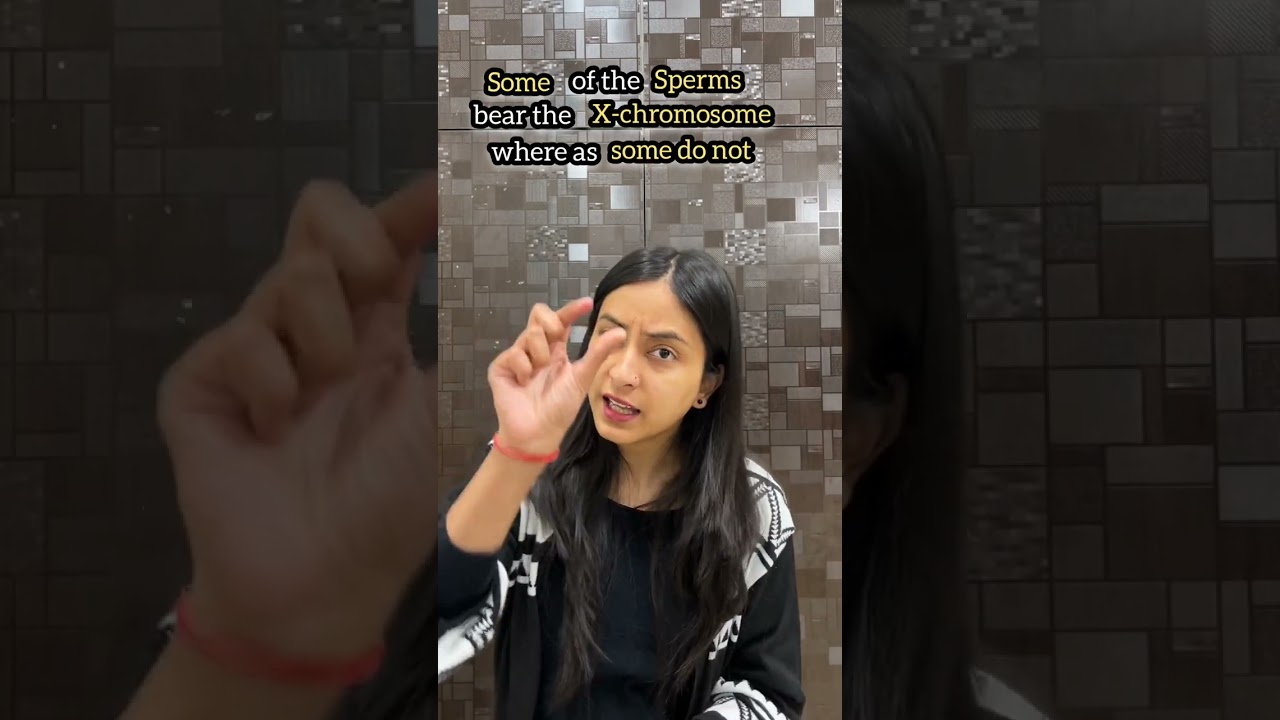 Henking's Observation | Sex Determination #neet #shorts #biology
