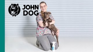 Kleszcze. Przeciwkleszczowa ochrona psa - Spraye - ZDROWIE PSA - John Dog