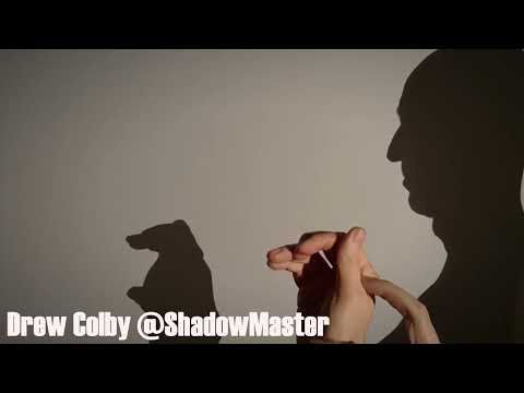 Bear Hand Shadow Tutorial
