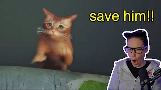 THE CRUELEST VIDEO GAME TO CAT OWNERS😿 (Stray) - Simply Stream Highlights