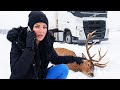 Emergency Deer Rescue On Colorado Mountain Road 8 F A Day In My White Truck Solo Female Trucker