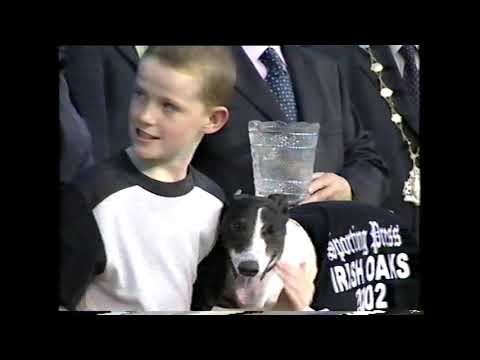 Greyhound View Episode 44