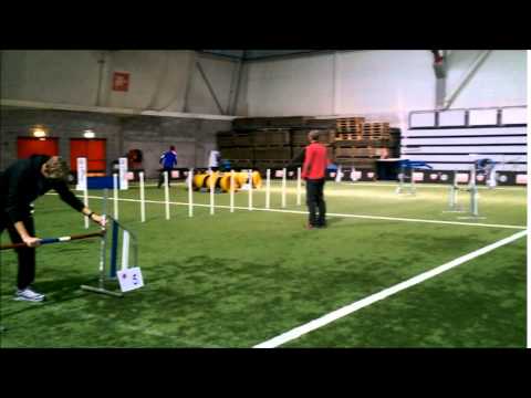 taco hopp 1 18 nov 2014 2 riv