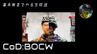 CoD:BOCW 　基本無言
