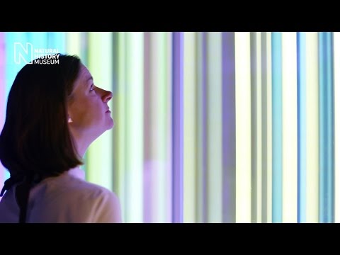 download lagu mp3 mp4 Liz Vision, download lagu Liz Vision gratis, unduh video klip Liz Vision