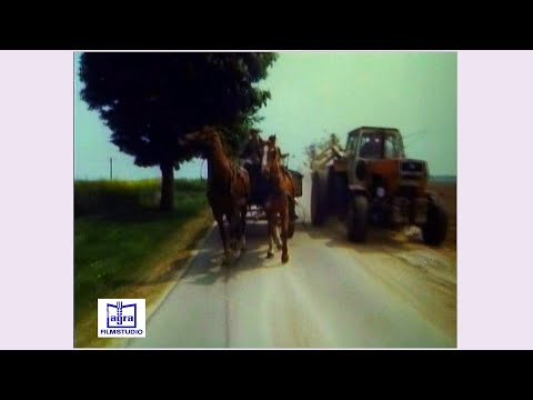 Fortschritt Überholmanöver Treckerkonvoi .-)